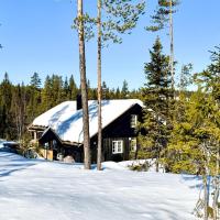 Beautiful home in Nesbyen with Sauna, WiFi and 4 Bedrooms