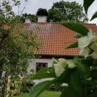 Żywkowo Bocianie Gospodarstwo Rolne, hotelli kohteessa Górowo Iławeckie