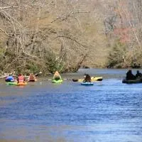 Two Rivers Cabins - The Dell, hotel a Brevard