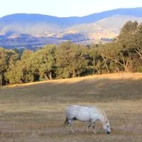 Yackandandah farm homestead, hotel in Yackandandah