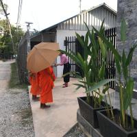 Siem Reap Homesteading