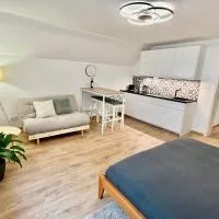 Apartmány Dlouhá、ターボルのホテル