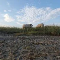 Erholung auf der Deichschäferei mit Deichblick, hotell sihtkohas Wangerland