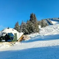 Domul Poarta Retezat, hotel di Rausor