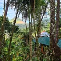 Viesnīca Rimba eco Resort pilsētā Tomohon