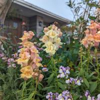 柳川ゲストハウス 憩 (IKOI)，柳川的飯店