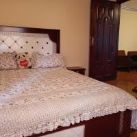 Fully furnished condo in the center of addis ababa, hotel in Piazza, Addis Ababa