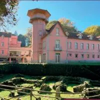 Palace Hotel & Spa - Termas de Sao Vicente, хотел в Пенафиел