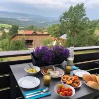 Apartment Tälerblick Maxi -neu modernisiert-, hotel en Böbrach