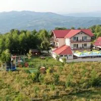 Pensiune Runcu Stone, Hotel in Runcu
