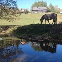 Cudne Manowce, hotel i Wetlina