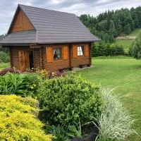 Przysłopiańska dacza, hotel v destinácii Obidza