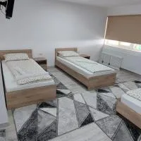 Cazare Pensiunea Ewo, Hotel in Moraviţa