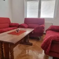 Apartman Sims, Hotel in Bajina Bašta