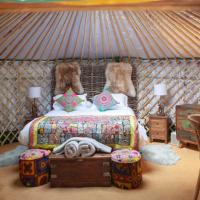 HAYNE BARN ESTATE - 2 Luxury heated Yurts - private hot tub- private bathroom and kitchen