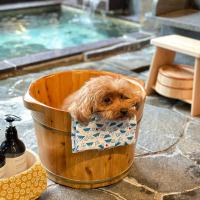 Doggy's Izujogasaki: Ito şehrinde bir otel