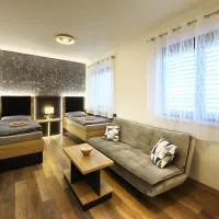 Apartmány Aswa, готель у місті Бржецлав