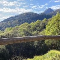 Amazing 4-Bed Cottage lost in Montseny Nature