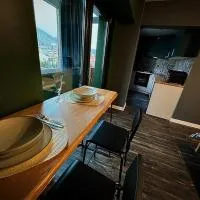 Studio G1, hotel en Moineşti