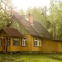Nedsaja metsamaja ja saun, hotel v destinaci Nedsaja