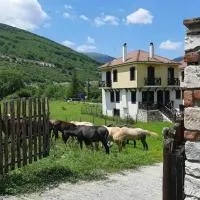 Ενοικιαζόμενη Παραδοσιακή κατοικία Σαν Παραμύθι, отель в городе Volakas