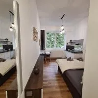 Apartmán Alenka HUDEČCI LOUKA, hotel v destinácii Černé Údolí