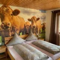 Pension Altvogtshof, hotel di Eisenbach