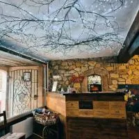Hôtel Berceau Du Vigneron, hotel em Turckheim