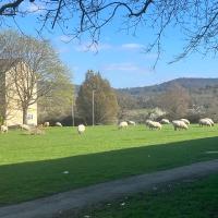 Floss Cottage