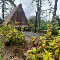 Chava Camping Rio Celeste, viešbutis mieste Rio Celeste