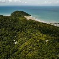 Cape Trib Farm, hotel i Cape Tribulation