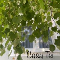 Casa Tei