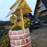 Căsuțele din Zăbran，Gornenţi的飯店
