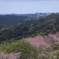Aigáni में, होटल ΠΑΝΟΡΑΜΑ
