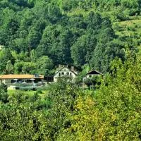 Villa “Nadezhda”: Tsareva Livada şehrinde bir otel