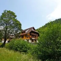 Hotel Gasthaus Hirschen Todtnau Brandenberg Hochschwarzwald Feldberg, hotell sihtkohas Todtnau