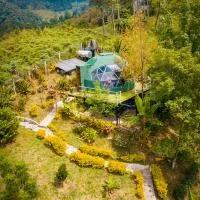 Glamping Magic Love, Hotel in San Francisco