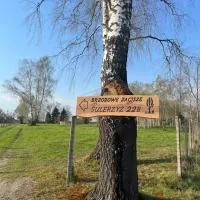 Brzozowe zacisze, hotel v destinaci Sulerzyż
