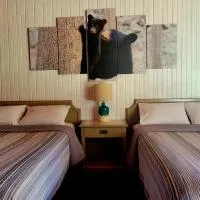 High Falls Motel & Cabins，瓦瓦镇的飯店