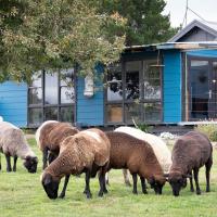 Counting Sheep Bed and Breakfast