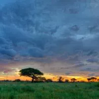 Khoi-Khoi Guesthouse, hotell sihtkohas Otavi