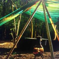 Magical Forest yurt