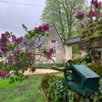 Viesnīca La Grange d Ave pilsētā Luynes