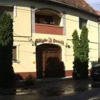 Mátyás Panzió, hotel di Szeged