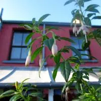 Western House, hótel í Llangennith