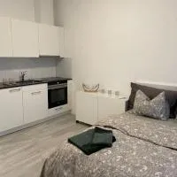 Studio mit eigener Dusche und Küchenzeile, hotel en Elsau