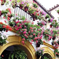 Casa en Marbella