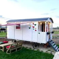 Ontwaken tussen de paarden, hotel en Helen-Bos
