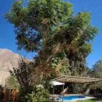 Cabaña en Valle de Elqui, hotel em Horcon