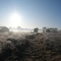 Twodogfolly, hotel Armidale-ben